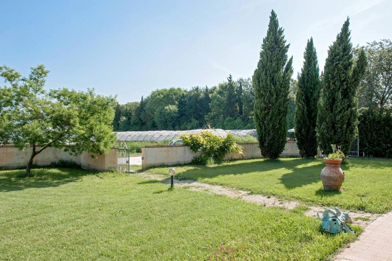B&B Casa Betulla Pisa Exterior photo